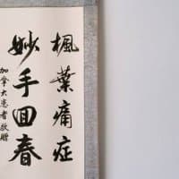 楓葉痛症（抓龍筋專門店）