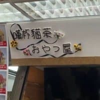 嘆杯貓茶