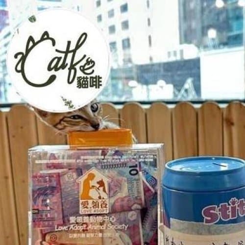 貓啡 Catfe