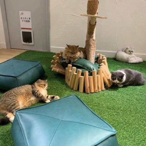 Chillax